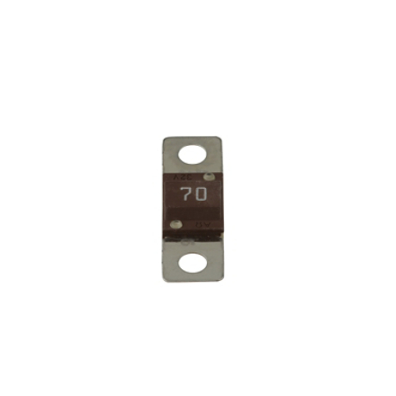 Category: Fuses & Fuse Holders | Thermo King Parts