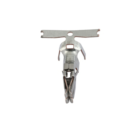Category: Terminals | Thermo King Parts