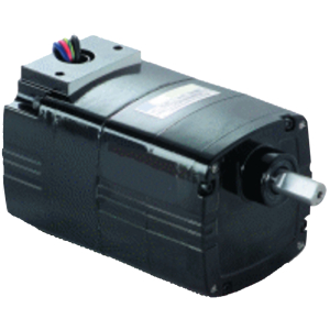 Blower Motors