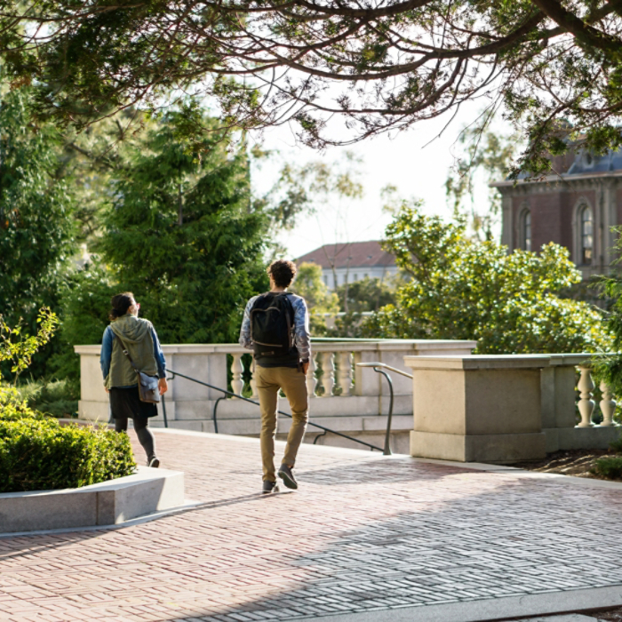 male and female students walking on campus in gold light with trees