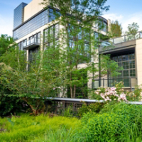 view from New York High Line park in summer