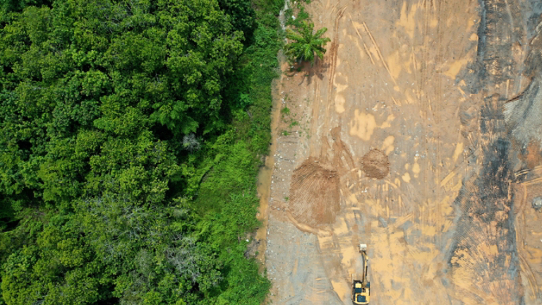 Environmental damage. Deforestation and logging. Aerial photo of forest cut down causing climate change 
