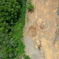 Environmental damage. Deforestation and logging. Aerial photo of forest cut down causing climate change 
