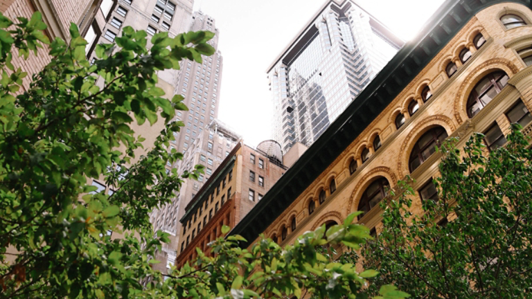 Low angle shot of high-rise buildings surrounded by greenery