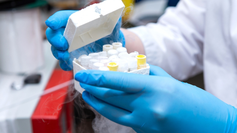 frozen eggs in vitro. Reproductive medicine
