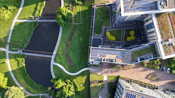 Apartments overlooking park