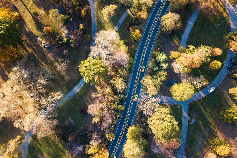 Central park road in autumn