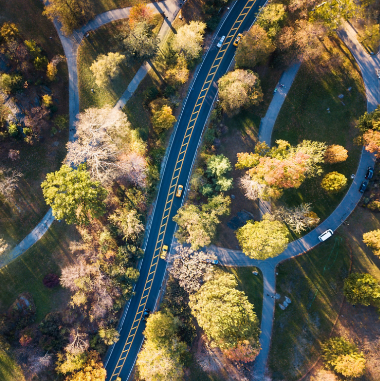 Central park road in autumn