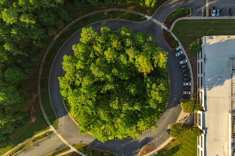Davidson campus entrance