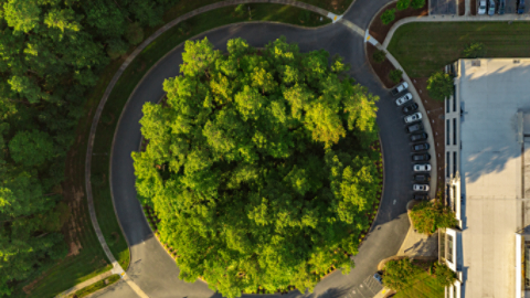 Davidson campus entrance