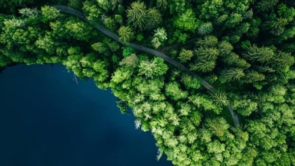 Forested walking path around blue lake