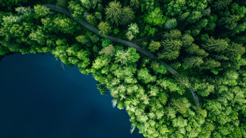 Forested walking path around blue lake