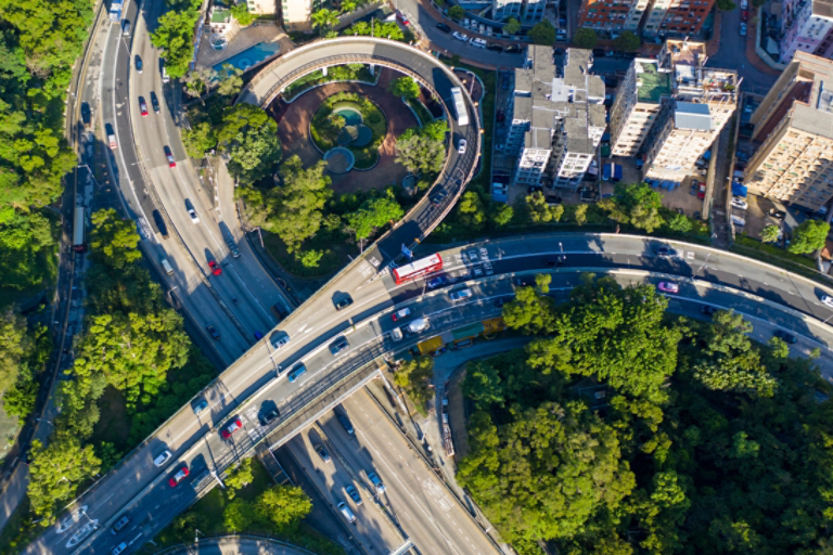 Highway through dense forest
