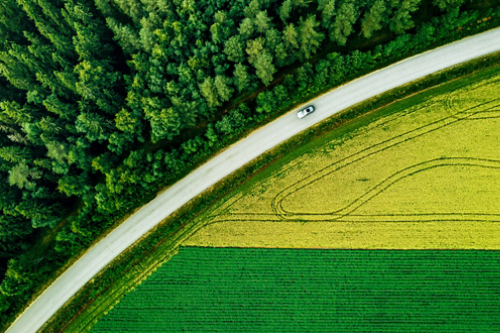 Road between a forest and farmland