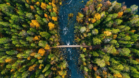 Small walking bridge over river in the fall