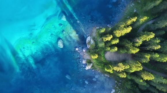 Walking path leading to clear pond 