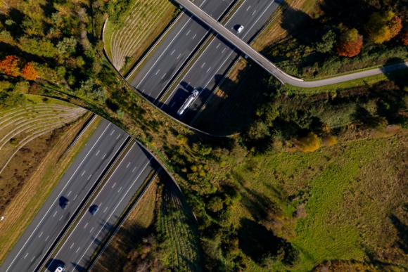 Wildlife crossing