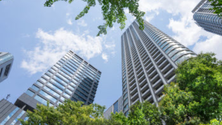 LEAD Technologies Inc. V1.01