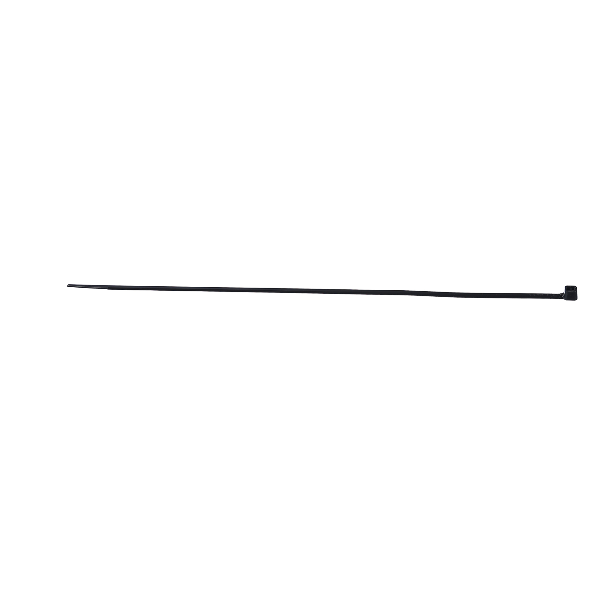 DT-WTB11C