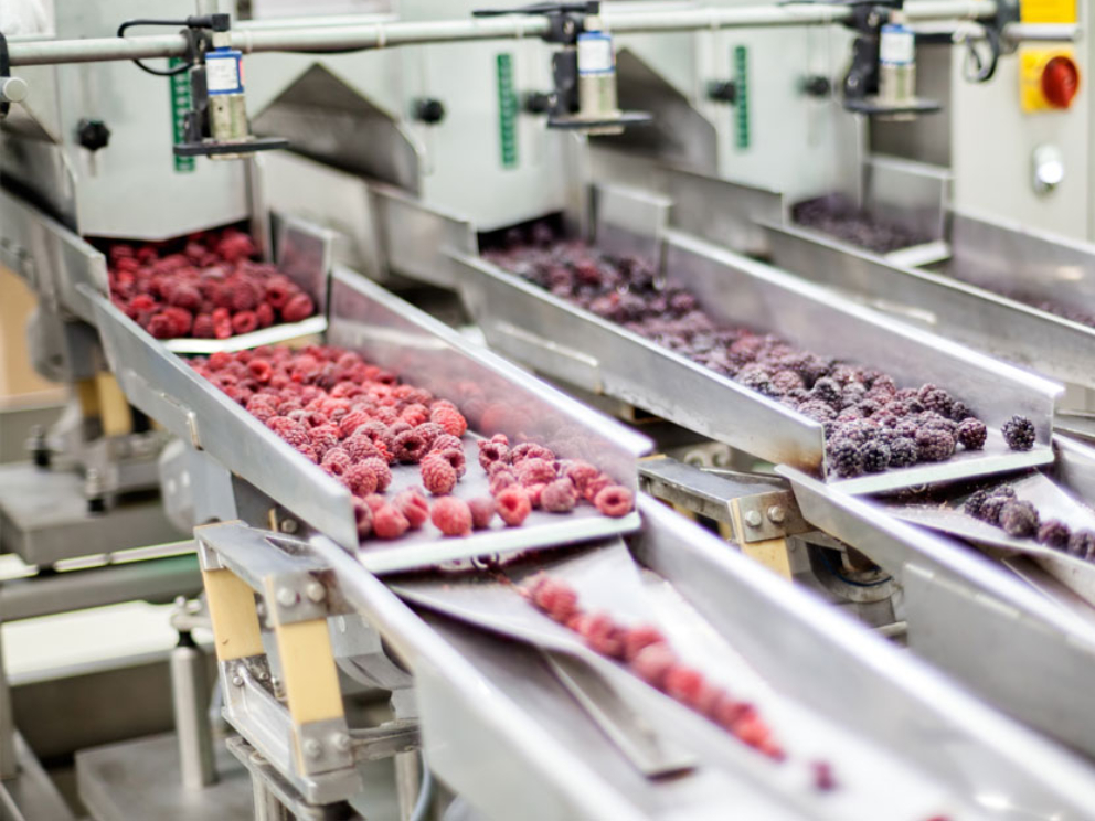 Berrys on production line
