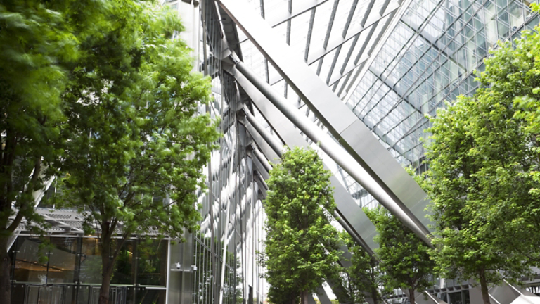 Greenspace between business buildings 