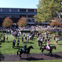Keeneland-Page.jpg