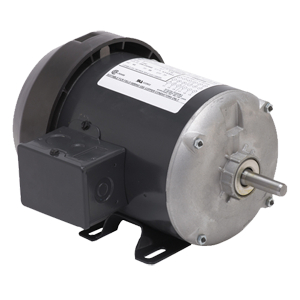 Blower Motors