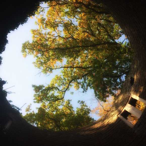 Overgrown circular building