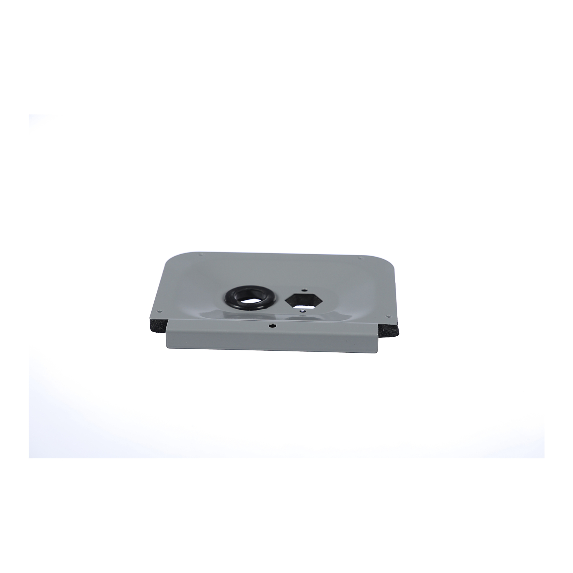 PLT06338
