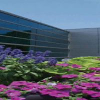 Pfizer Robotics page.JPG