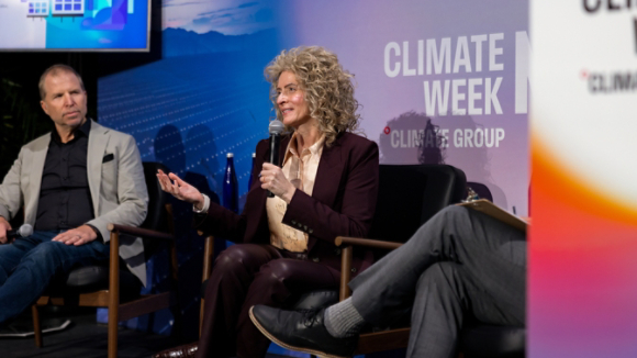 Executive speaking at climate week 2