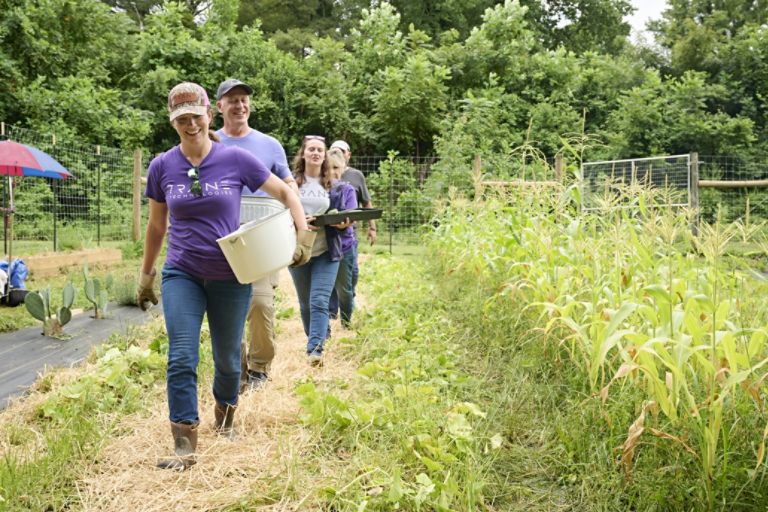 Volunteers transporting produce 5