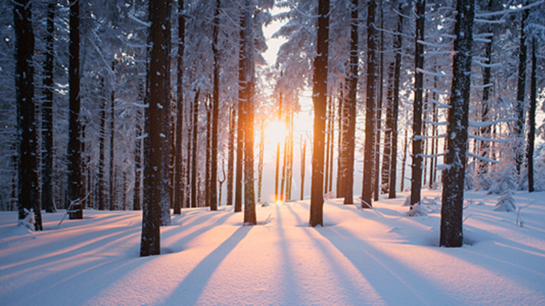 Obtenha conforto confiável durante todo o ano