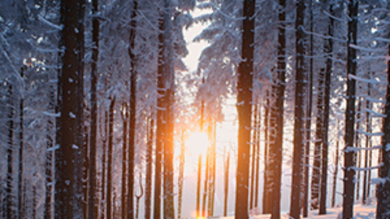 U.S. winter natural gas prices