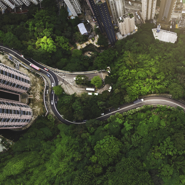 Aerial City Forest