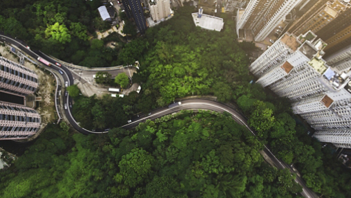 Aerial City Forest