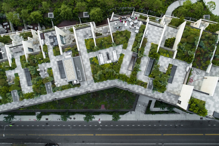 Top of a Building with Trees