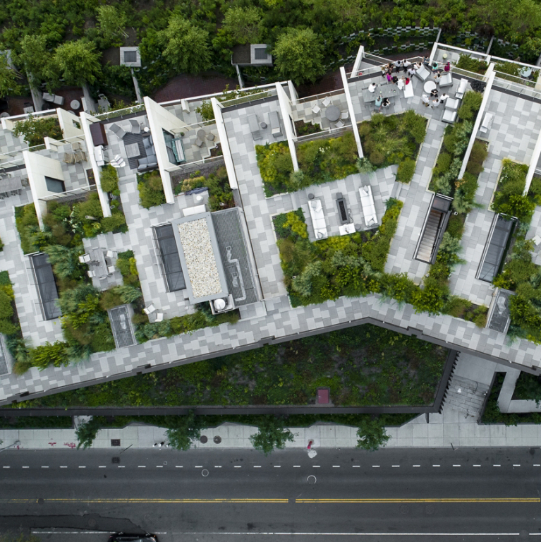 Top of a Building with Trees