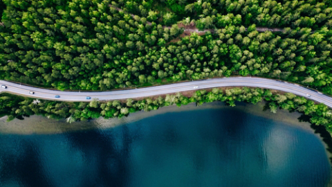 Aerial view of road between green summer forest and blue lake with shadow