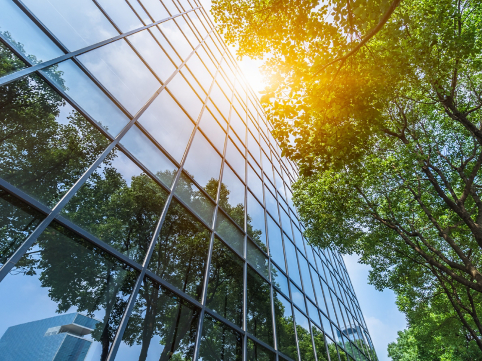 modern office building with green trees.