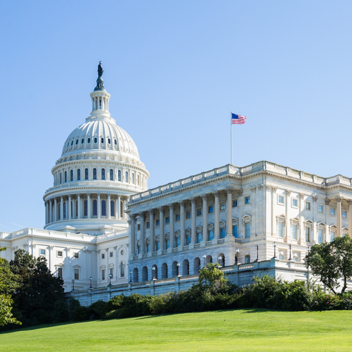 US Capitol in Washington DC