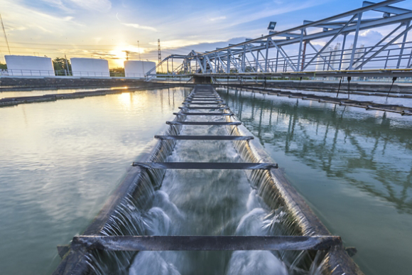 Water Plant Featuring a Bridge