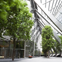 iStock-166006404 CHES.jpg