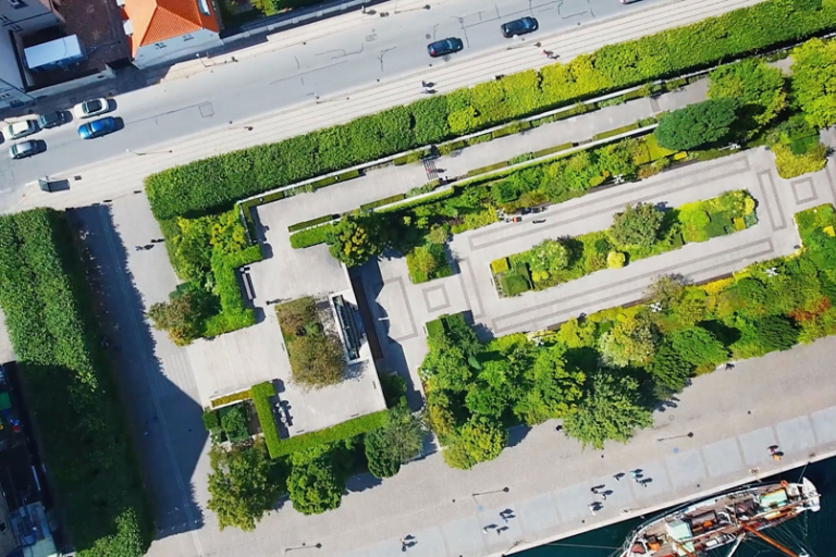 aerial view of greenery in city park