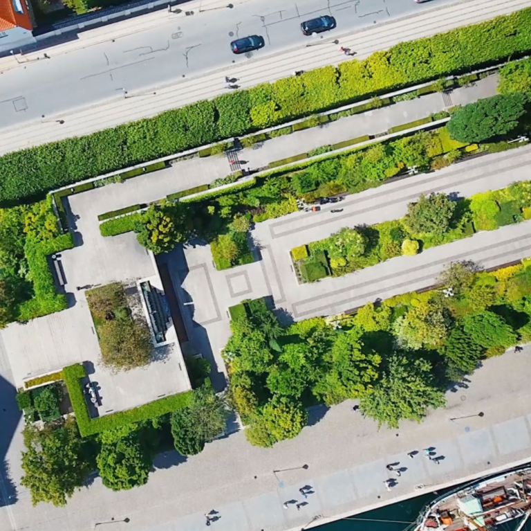 aerial view of greenery in city park