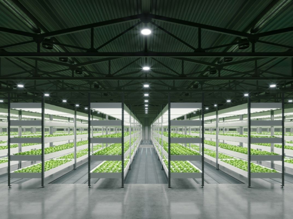 Indoor agriculture HVAC with Trane
