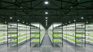 Indoor agriculture HVAC with Trane