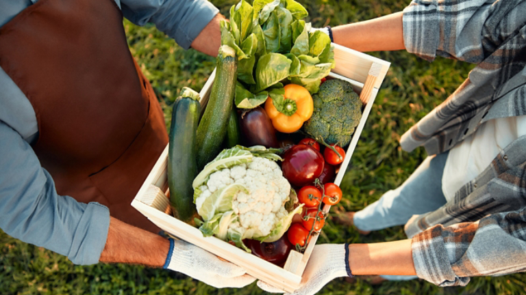 Photo of person carrying fresh produce