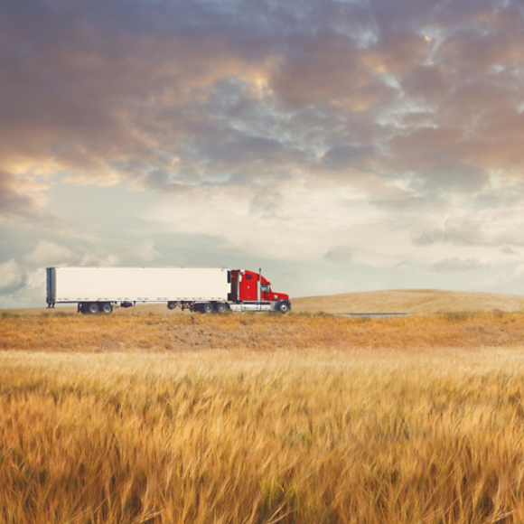 Truck with Trailer in a Field 