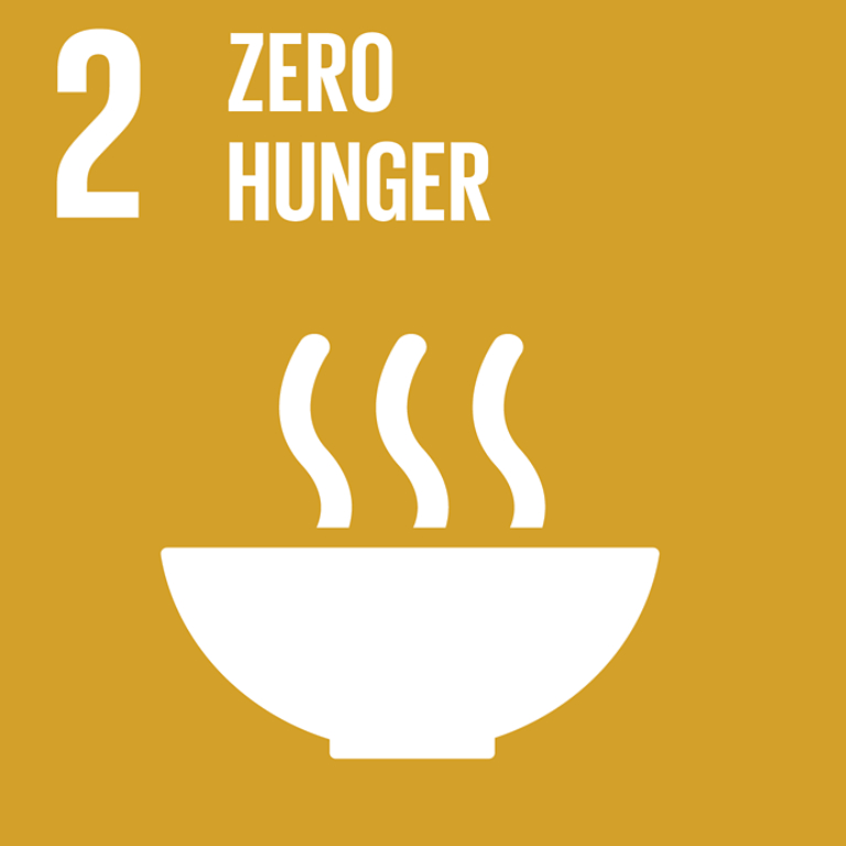 SDG icon 2